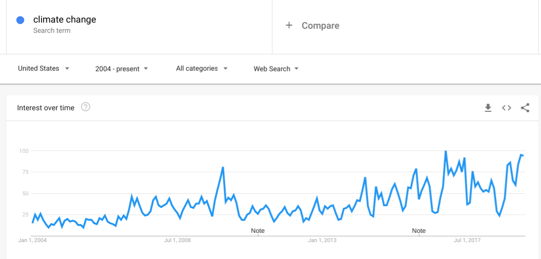Bizadmark Digital MArketing Google Trends