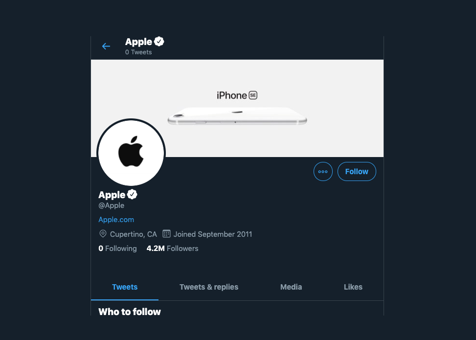  Branding Strategy Like Apple Twitter