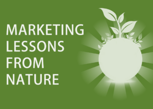 Read more about the article 7 Genius Marketing Lessons From Nature: The Best Marketing Guru