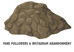 fake followers instagram abandonment