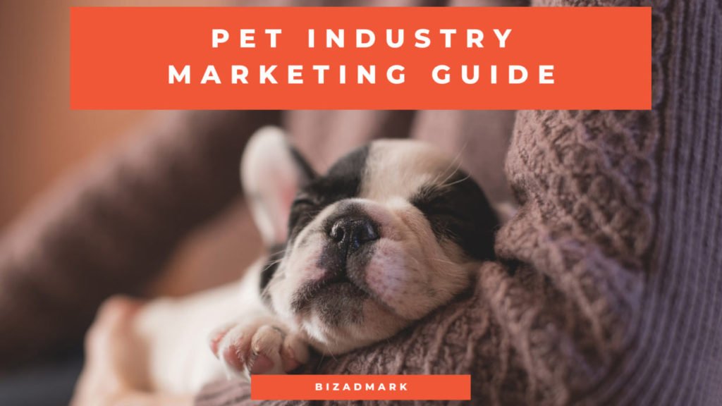 Pet Products Marketing 101 | Pet Product Marketing Agency