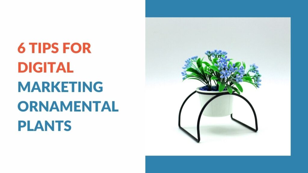 6 Tips for Digital Marketing Ornamental Plants